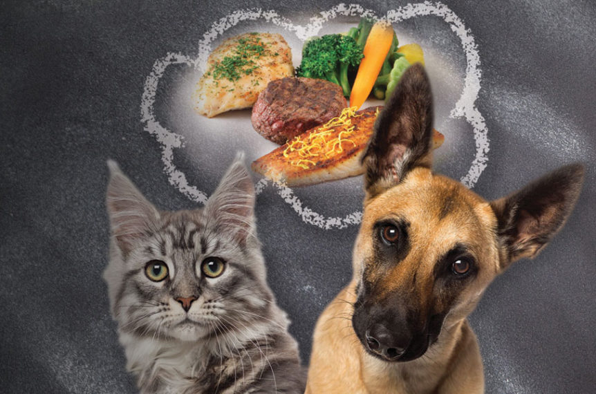 Pet food digest